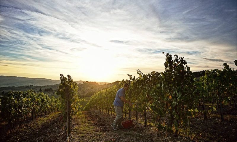 Borgo Del Cabreo Greve in Chianti, Tuscany - Italy