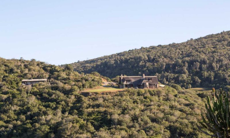 Hopewell Private Game Reserve, Eastern Cape - South Africa
