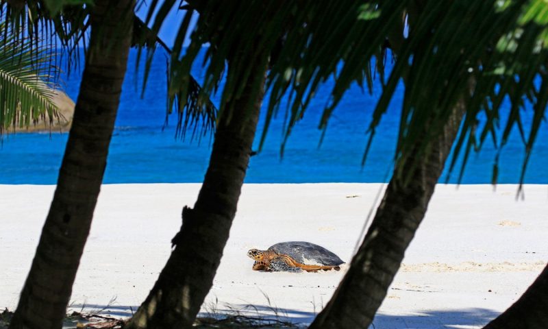 Cousine Island Resort Seychelles
