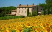 Agriturismo Casale Dei Frontini Todi, Umbria - Italy