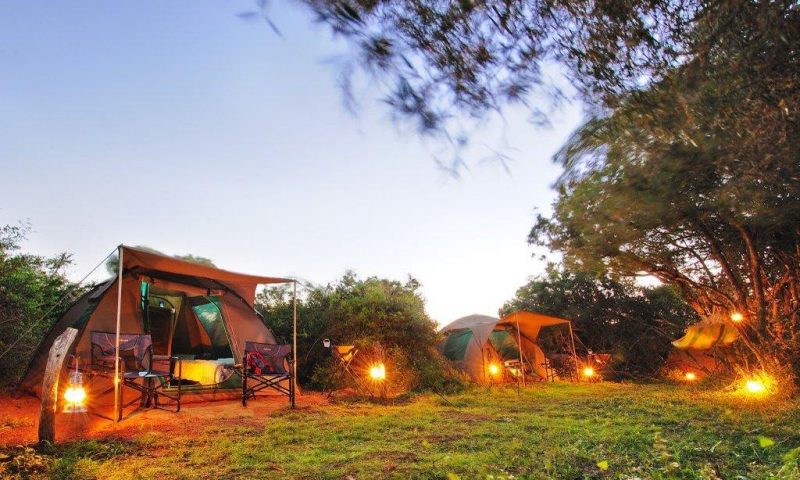 Shamwari Sarili, Eastern Cape - South Africa