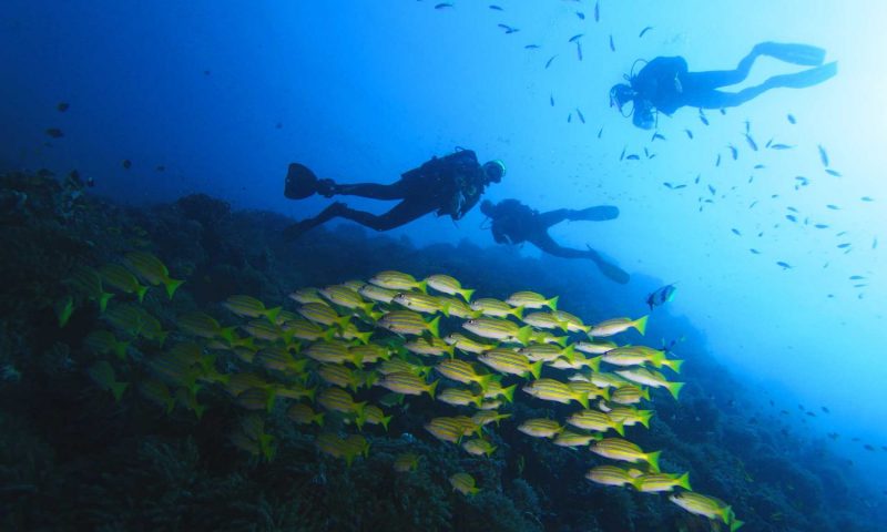 Fundu Lagoon Zanzibar - Tanzania