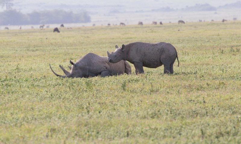Ngorongoro Crater Lodge - Tanzania