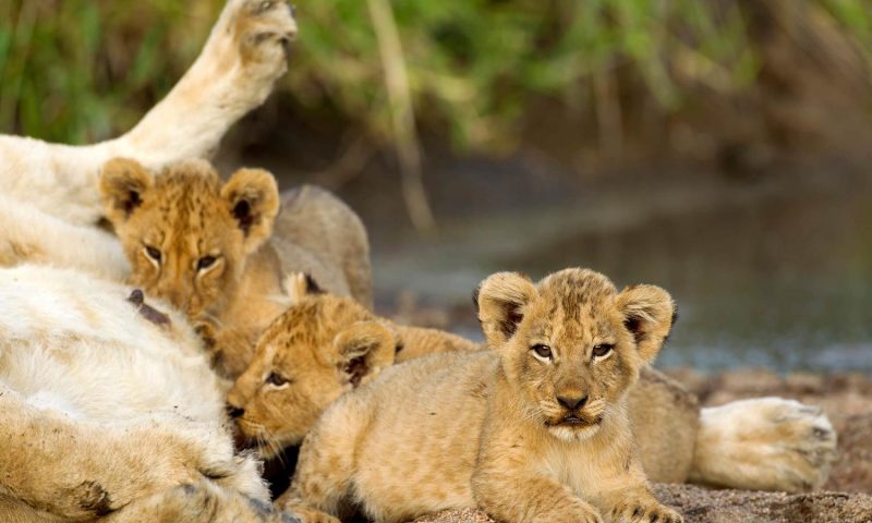 Jock Safari Lodge, Mpumalanga - South Africa