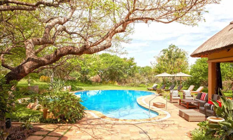 Thanda Private Game, KwaZulu Natal - South Africa