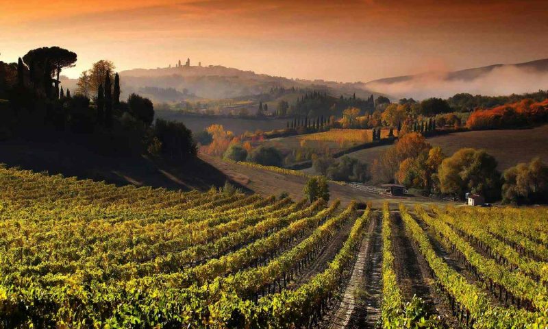 Agriturismo Mormoraia San Gimignano,Tuscany - Italy