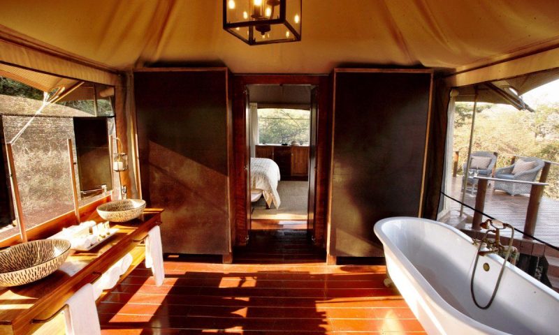 Thanda Private Game, KwaZulu Natal - South Africa