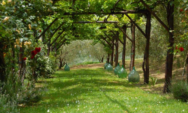 Agriturismo Casale Dei Frontini Todi, Umbria - Italy