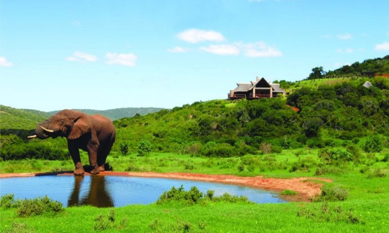 Hopewell Private Game Reserve, Eastern Cape - South Africa