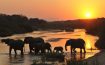Inyati Game Lodge Sabi Sand, Limpopo - South Africa