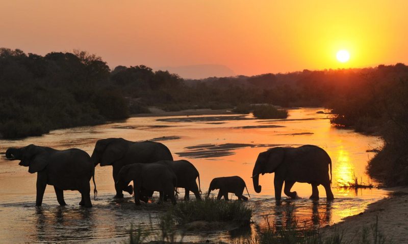 Inyati Game Lodge Sabi Sand, Limpopo - South Africa