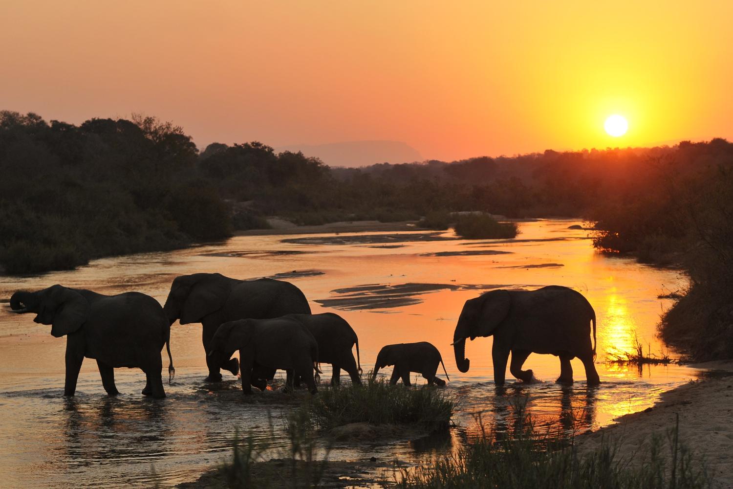 Inyati Game Lodge Sabi Sand, Limpopo - South Africa