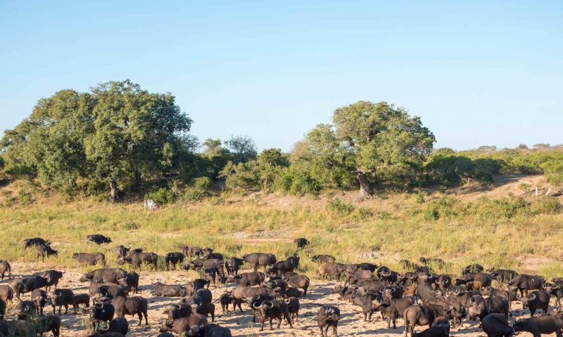 Jock Safari Lodge, Mpumalanga - South Africa