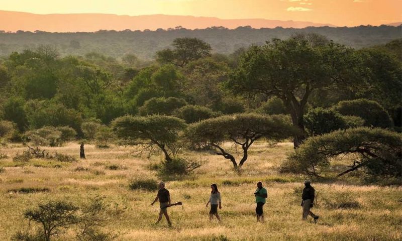 Madikwe Safari Lodge, North West - South Africa