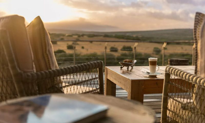 Shamwari Sarili, Eastern Cape - South Africa