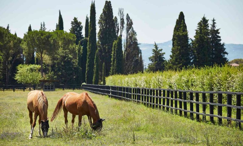 Villa Valentini Bonaparte, Umbria - Italy