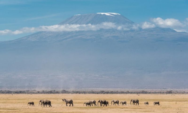 Kibo Villa Amboseli - Kenya