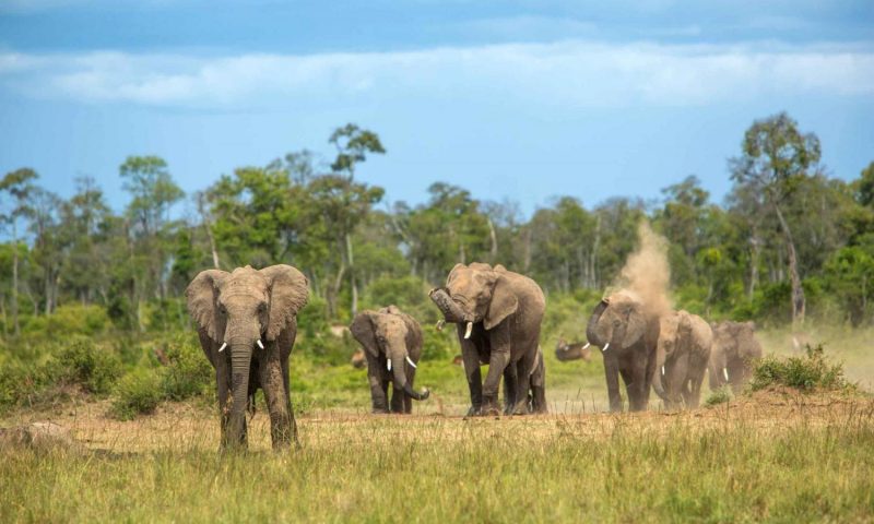 Mara Engai Wilderness Lodge - Kenya