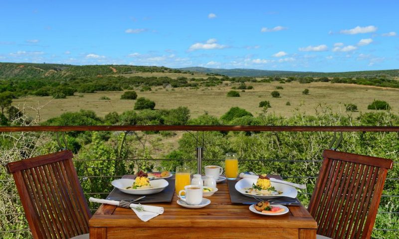Shamwari Sarili, Eastern Cape - South Africa