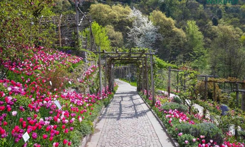 Hotel Der Waldhof Lana, South Tyrol - Italy