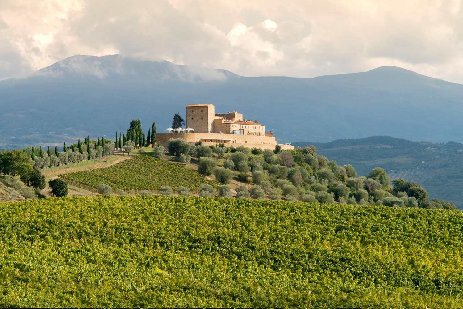 Castello Di Velona Montalcino, Tuscany - Italy