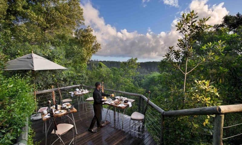 Tsala Treetop Lodge, Western Cape - South Africa