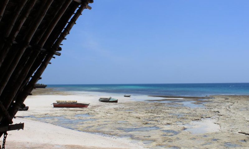 Chumbe Island Coral Park Zanzibar - Tanzania
