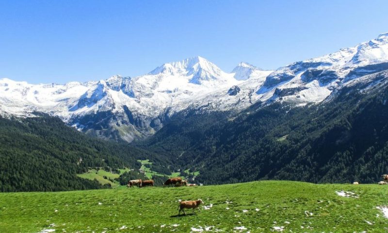 Natur Idyll Hochgall, South Tyrol - Italy