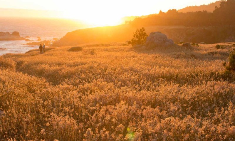 Timber Cove Resort, California - United States Of America