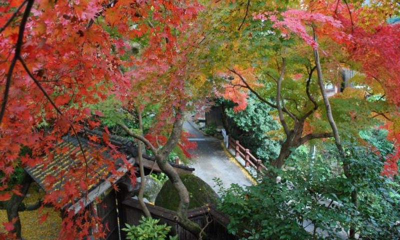 Ryokan Seiryuan Asakura, Kyushu - Japan