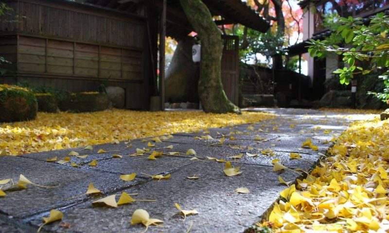 Ryokan Seiryuan Asakura, Kyushu - Japan