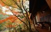 Ryokan Sanso Tensui Oita, Kyushu - Japan