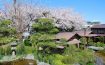 Ryokan Atami Sekitei Shizuoka, Chubu - Japan