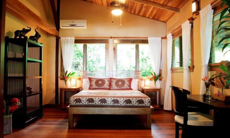 Copa De Arbol Rainforest - Costa Rica