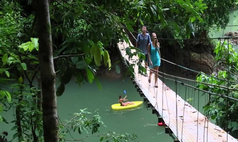 Copa De Arbol Rainforest - Costa Rica