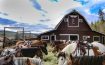 C Lazy U Ranch Granby, Colorado - United States Of America