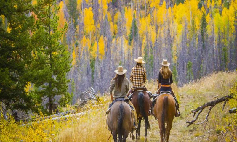 C Lazy U Ranch Granby, Colorado - United States Of America