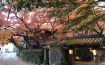Ryokan Seiryuan Asakura, Kyushu - Japan