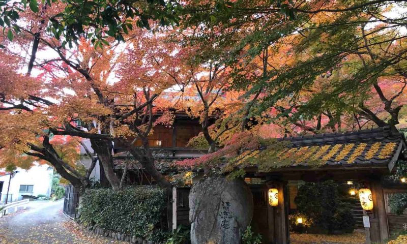 Ryokan Seiryuan Asakura, Kyushu - Japan