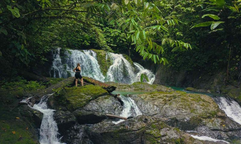 Copa De Arbol Rainforest - Costa Rica