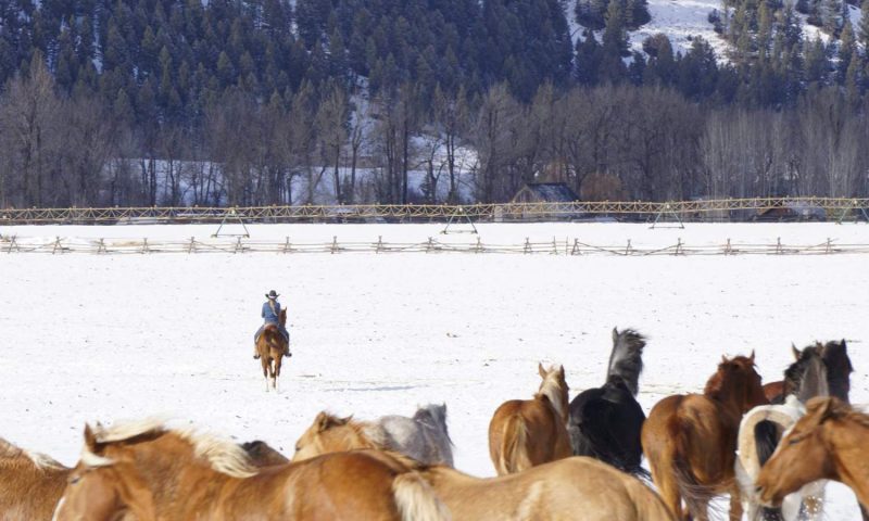 The Ranch At Rock Creek Philipsburg, Montana - United States Of America