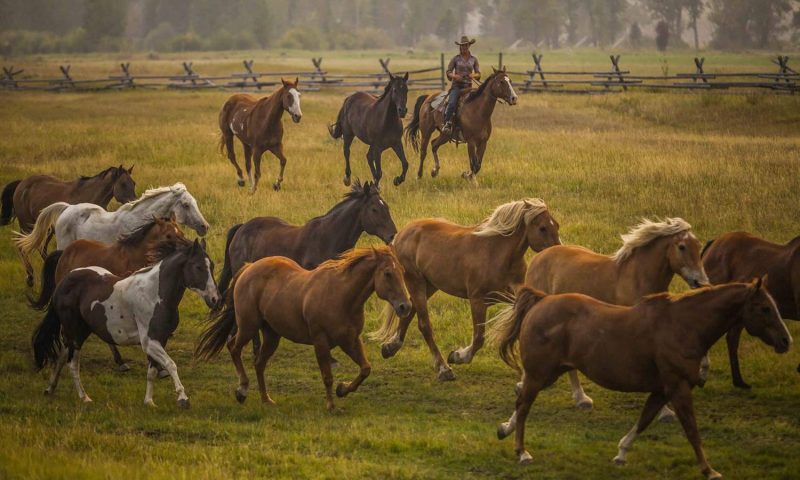 The Ranch At Rock Creek Philipsburg, Montana - United States Of America