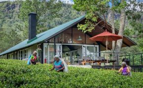 Madulkelle Tea and Eco Lodge - Sri Lanka