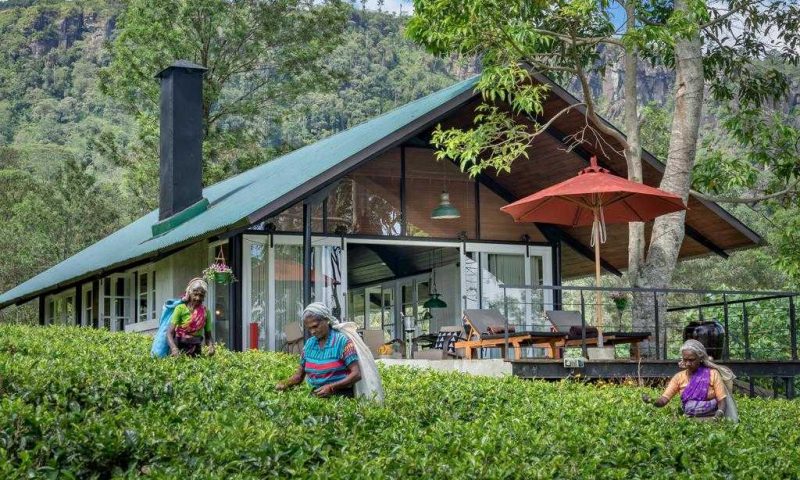 Madulkelle Tea and Eco Lodge - Sri Lanka