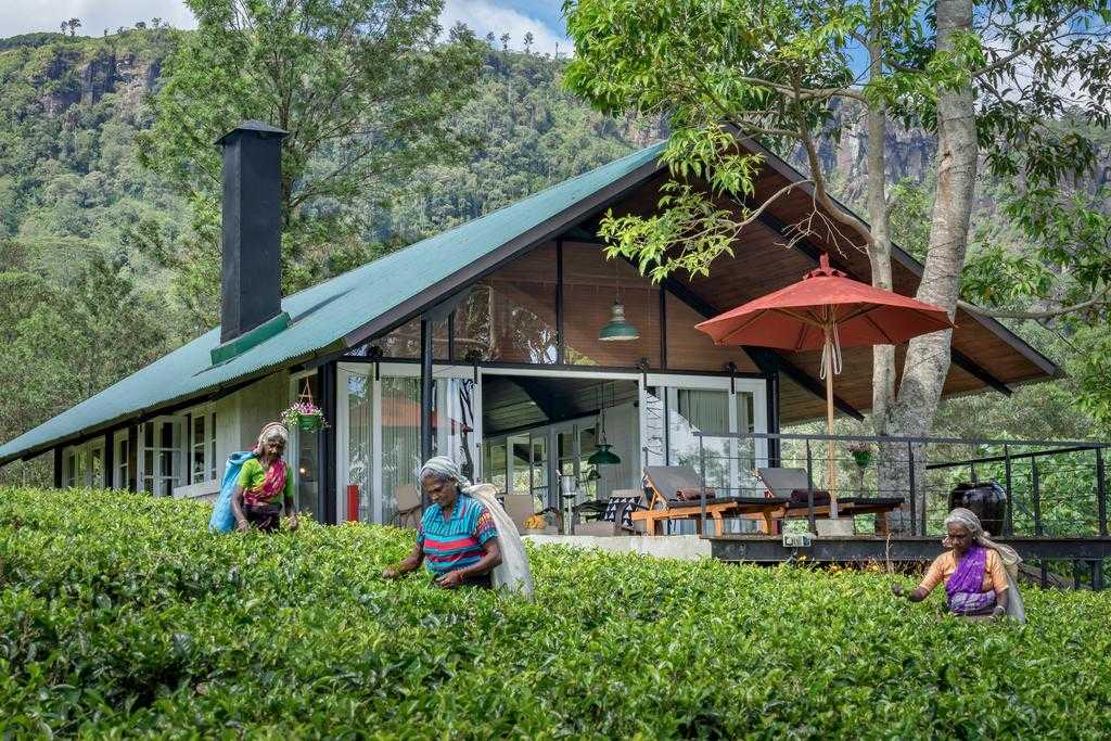 Madulkelle Tea and Eco Lodge - Sri Lanka