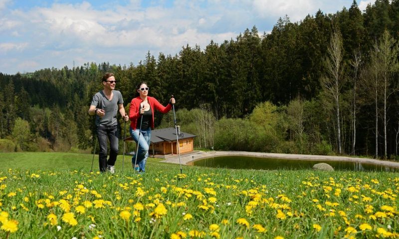 Hotel Schwarz Alm Zwettl - Lower Austria