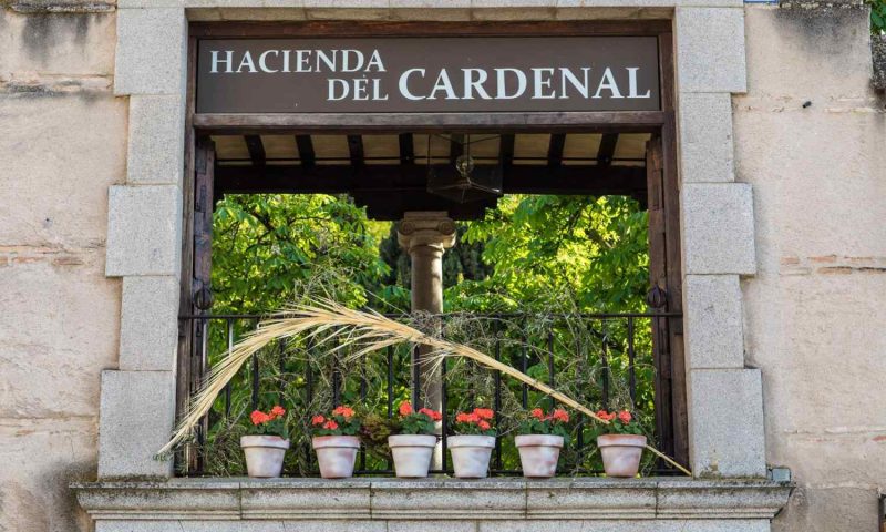 Hacienda del Cardenal Toledo, Castilla La Mancha - Spain