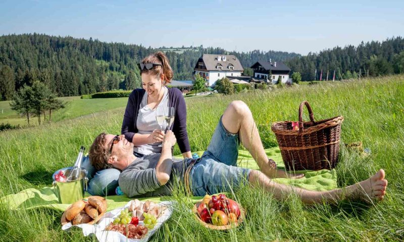 Hotel Schwarz Alm Zwettl - Lower Austria