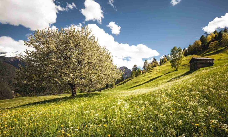 Hotel Bergblick Fiss, Tyrol - Austria