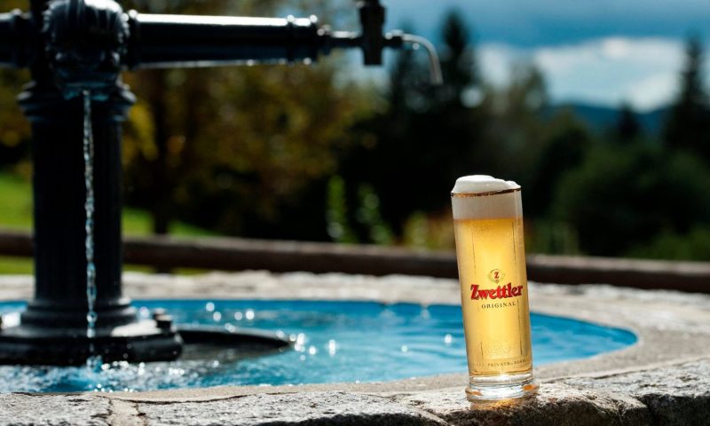 Hotel Schwarz Alm Zwettl - Lower Austria